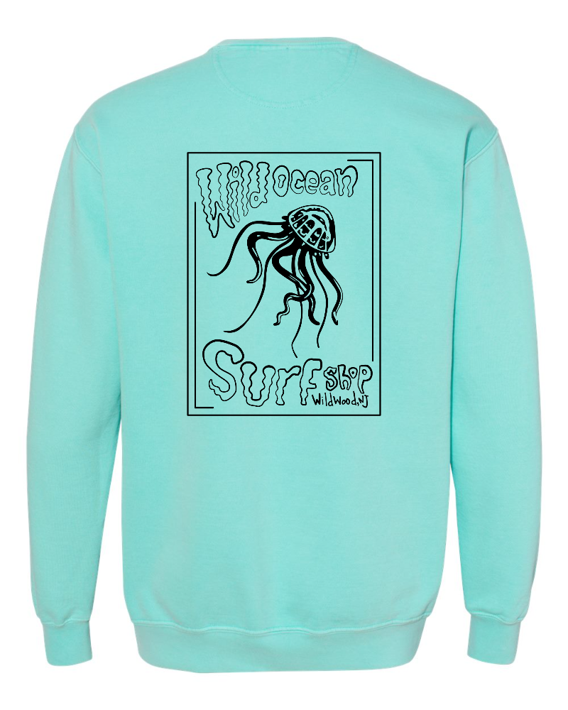 Jelly Crew Neck Sweatshirt (Chalky Mint)